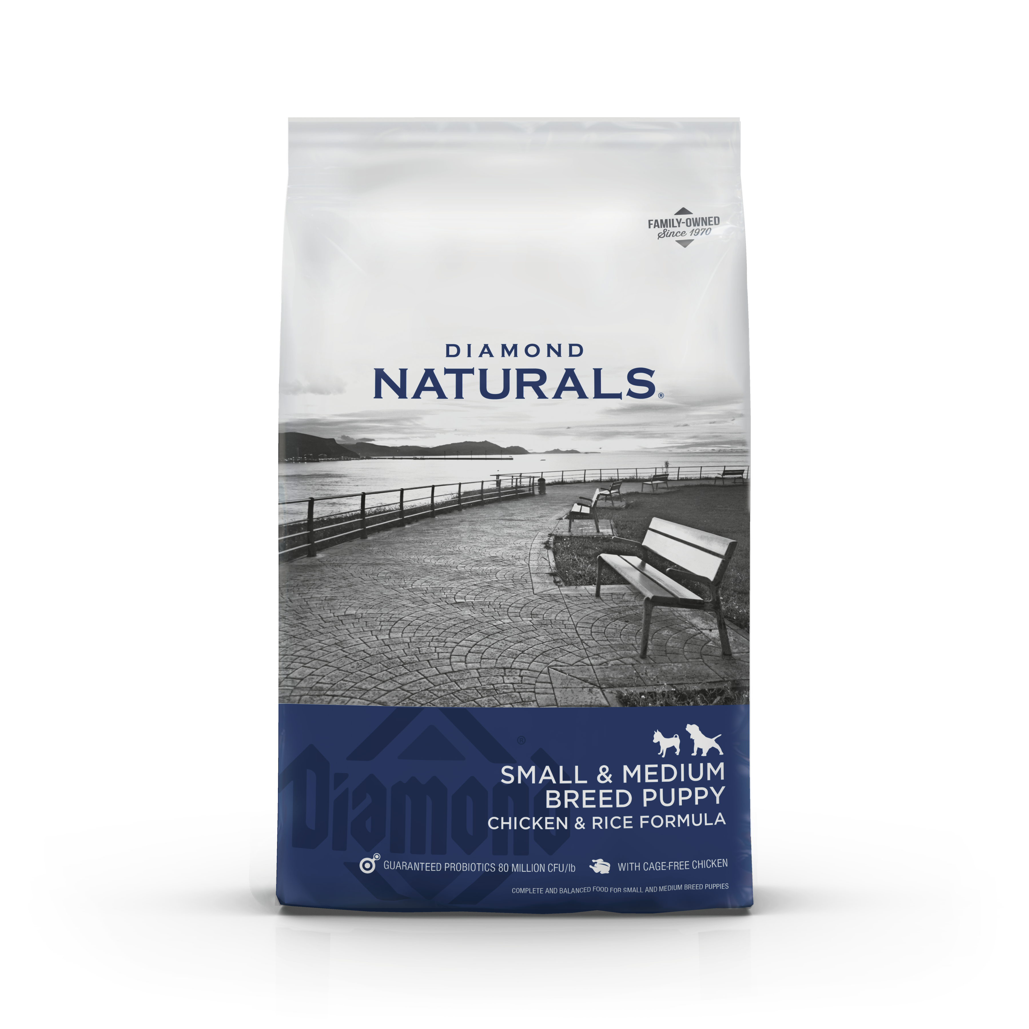 DN-SB-MEDIUM-Puppy-FRONT-2022